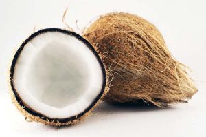 Fresh Coconut