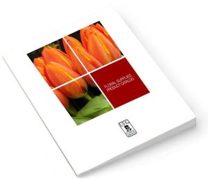 Catalog Printing