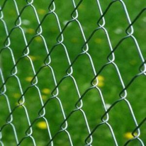 Chain Link Fence