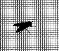 Mosquito Wire Mesh