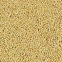 White Mustard Seeds