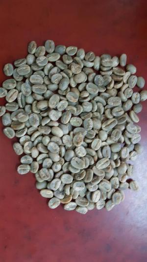Green Coffee Beans - Arabica