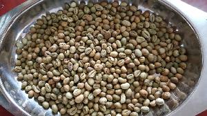 Green Coffee Beans - Robusta