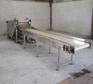 Industrial Conveyor