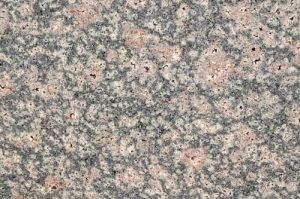 Indian Bala Flower Granite Stone