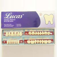 Lucas Teeth Set