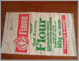Flour PP Woven Bag