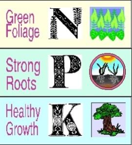 Npk Fertilizers