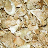 Dried Oyster Mushroom