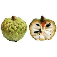 Fresh Custard Apple