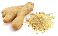 Dry ginger extract
