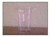 Disposable Plastic Glasses