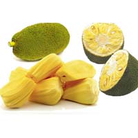 Fresh Jack Fruit