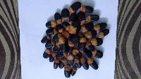 Chepurai Natural Seed