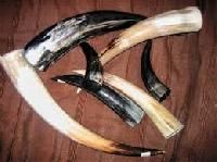 Drinking Horns