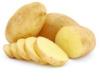 Potato