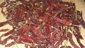 Byadgi Dried Red Chilli