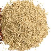 AMARANTH