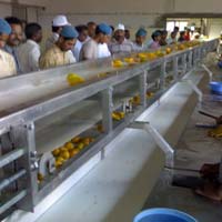 mango processing line