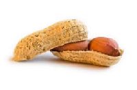 Raw Peanut