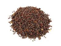 Mustard Seeds