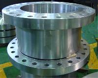 Stainless Steel Forged Flanges