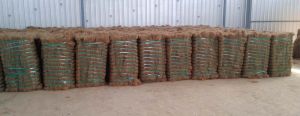 Coir Fibre