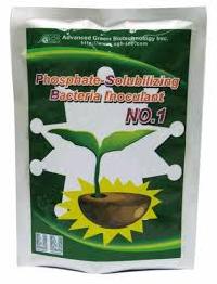 Phosphate Solubilizing Bacteria