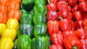 Fresh Capsicum