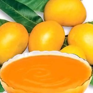 Mango Pulp