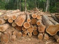 wooden round logs