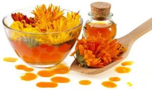 Calendula Oil