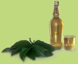 Cinnamon Leaf Oil