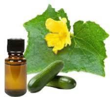 Cucumber Oil