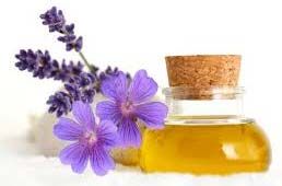 Geranium Oil