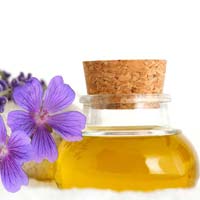 Lavender Oil