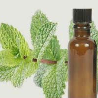 Mentha Citrata Oil