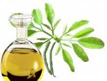 Moringa oil