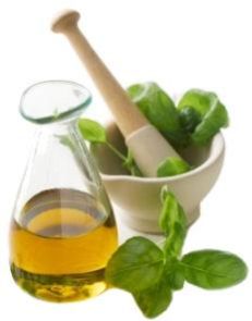 Oregano Oil