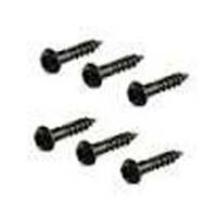 Stainless Steel Small Screws