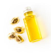 Moringa Oleifera Oil