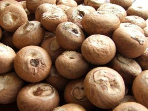 Areca Nuts