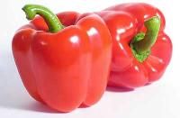 Red Capsicum