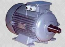 Electric Motor