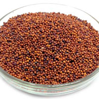 Finger Millet