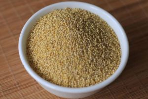 foxtail millet