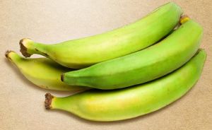 Plantain