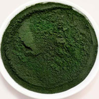 Spirulina Powder