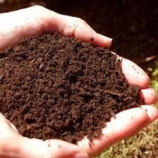 Organic Manure