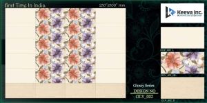 Digital Ceramic Wall Tiles (25X50)